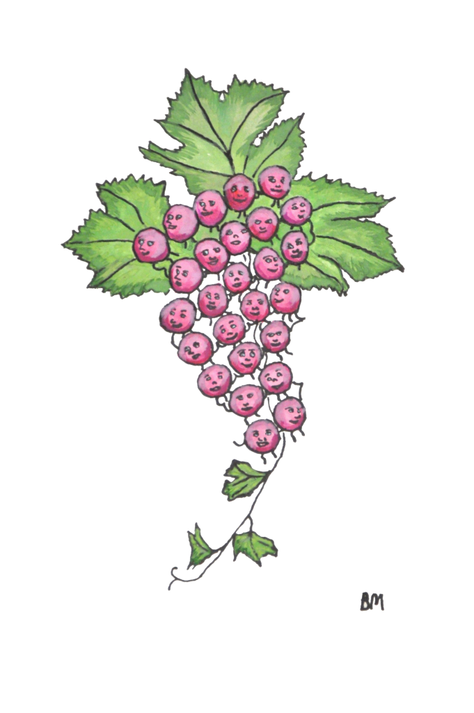 GRAPES no background