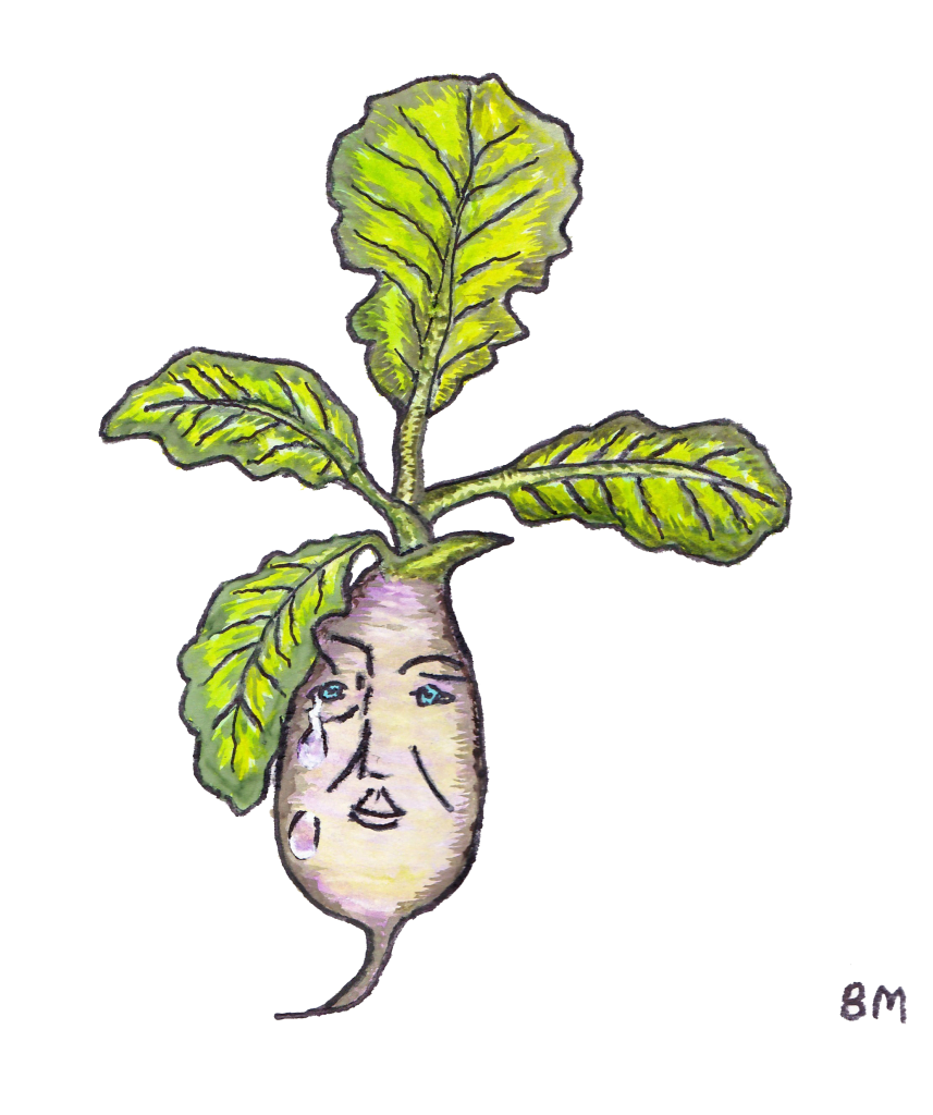 RADISH no background