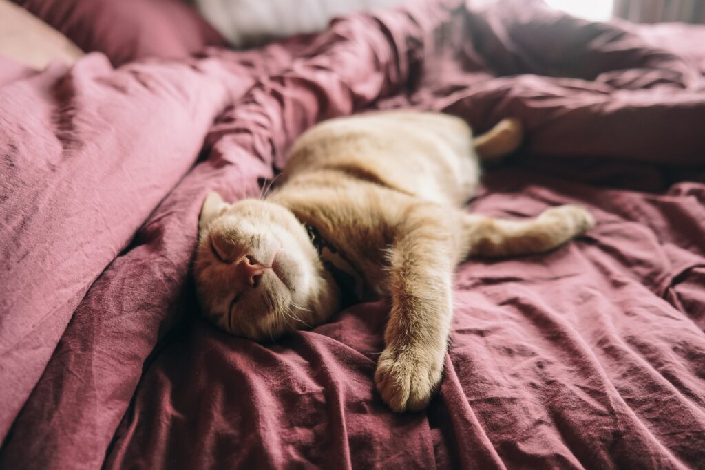 Why bother with Time Management? 1 pexels dAE°AE¡ng nhA¢n 2817422
