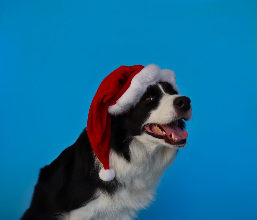 How to have a Happy Christmas 1 pexels nikola AedAkovA¡ 5996587