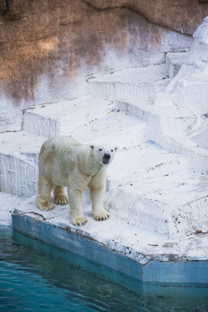 pexels ryutaro tsukata 5745465
